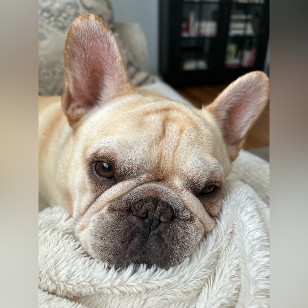 Meet your Posher, Elizabeth